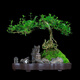 瀚林怡景（HANLINYIJING）六月雪盆景植物樹樁懸崖造型假山老樁室內(nèi)客廳辦公室綠植桌面盆栽 山水石景-六月雪