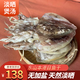 福建東山島墨魚干500g淡曬烏賊淡干目魚干特級(jí)煲湯海鮮水產(chǎn)干貨 500g(8-10只)