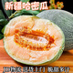 倪府莊園哈密瓜 新疆西周蜜哈密瓜新鮮現(xiàn)摘網(wǎng)紋瓜10斤應(yīng)季生鮮水果 哈密瓜【3-4斤】1-2個