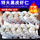 珍鱘味生鮮蝦仁 8-10只特大黑虎蝦 龍蝦鮮活生凍水產(chǎn)海鮮大蝦年貨年夜飯 8-10只共450g超大黑虎蝦仁