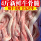 牛骨髓生鮮新鮮牛脊髓冷凍牛脊骨髓火鍋燒烤食材 2斤裝順豐包郵 牛骨髓4斤裝