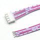 丟石頭 JST XH2.54mm紅白排線 4PIN/單頭/20cm 端子線線束 電子連接線 一件5條