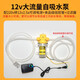 家用抽酒泵吸酒器電動(dòng)酒缸抽酒器白酒抽吸水泵小型自吸泵220v酒泵 12v2.5a可調(diào)+隔膜泵+過濾+管3米