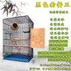 鳥(niǎo)籠鸚鵡寵物籠子大空間繁殖籠八哥鷯哥紋鳥(niǎo)牡丹飛行加高金屬籠別墅籠鸚鵡活體鳥(niǎo)小太陽(yáng)和尚專(zhuān)用鳥(niǎo)籠豪蚨 加高別墅籠黑色套餐2