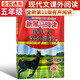 新黑馬閱讀 現(xiàn)代文課外閱讀小學五年級 小學語文閱讀理解專項訓練強化訓練閱讀答題技巧提升答題模板必刷題練習冊 現(xiàn)代文課外閱讀