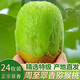 鑫果滋 陜西周至翠香獼猴桃 綠心奇異果彌獼桃孕婦新鮮中秋水果禮盒裝 20枚單果110-130g5斤