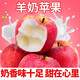 山西萬(wàn)榮羊奶蘋(píng)果孕婦水果正宗紅富士脆甜當季爽口一級精品整箱裝 帶箱5斤