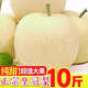 蔡娃果業(yè)正宗河北皇冠梨新鮮水果整箱10斤梨子秋季現(xiàn)摘果園直發(fā)脆甜多汁 老樹(shù)精選裝【帶箱9.5-10斤】推薦