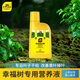 史丹利幸福樹(shù)專(zhuān)用肥料營(yíng)養液復活液葉子干枯落葉掉葉子急救復合肥 幸福樹(shù)營(yíng)養液500ml