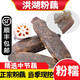 沃鮮谷【順豐】洪湖粉藕蓮藕 九孔紅花藕 煲湯易粉 新鮮蔬菜 5斤【剛上市 需要高壓鍋】
