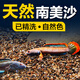 瘋狂石頭南美魚缸底沙子 細(xì)河海棕砂 大小型微景觀鋪面盆造石裝飾 10斤裝【南美棕沙】細(xì)顆粒