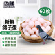 均鮮新鮮土鴿子蛋雜糧喂養(yǎng)農(nóng)家特產(chǎn)白鴿蛋信鴿蛋孕婦寶寶年貨節(jié)禮盒裝 60枚 1220g 左右精選鮮鴿蛋