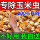 糧食玉米專(zhuān)用防蟲(chóng)殺米蟲(chóng)米象蟲(chóng)小麥稻谷糧倉儲存殺蟲(chóng)劑驅蟲(chóng)藥包 存糧不生蟲(chóng)【3袋】60包