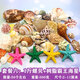 曦凰天然貝殼海螺殼海星珊瑚石兒童玩具裝飾擺件DIY卷貝魚寄居蟹 套餐六:1斤螺貝+樹脂霸王海星