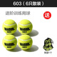 天龍網(wǎng)球訓(xùn)練球801603 復(fù)活X-ace初學(xué)專業(yè)高級(jí)比賽體育課訓(xùn)練球 603六個(gè)（贈(zèng)網(wǎng)袋）