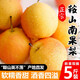 夢宛怡遼寧鞍山特產(chǎn)南果梨東北當(dāng)季酒香水梨子現(xiàn)摘新鮮酥脆南國梨水果 帶箱5斤精品中果70-90g約30粒 精品果