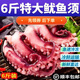 生鮮魷魚須脆口大章魚足新鮮速凍海鮮批發(fā) 特大 6斤(凈重)  品質(zhì)