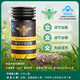 知蜂堂蜂膠普諾寧思膠囊調節(jié)血糖血脂免疫調節(jié)高濃度升級款正品3瓶裝 1盒60粒1瓶