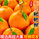 粑粑柑十斤一整箱四川春見(jiàn)耙耙柑10斤水果年貨丑八怪不知火丑橘子 [大果]果徑75-80mm耙耙柑 4.5斤精裝