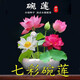 卓天（ZHUOTIAN）碗蓮七彩花卉室內耐寒耐熱陽(yáng)臺水培客廳庭院新品 開(kāi)口碗蓮10粒