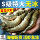 魚(yú)姐海成 青島大蝦鮮活海鮮水產(chǎn)超大冷凍基圍蝦海蝦鮮蝦青蝦整箱蝦袋裝 1700g(凈重)  【30-40真凈重不抽蝦】
