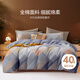 博洋（BEYOND）家紡床上用品全棉四件套純棉床品套件雙人被套春秋床單 40支 納藍 床單款 （被套220*240cm）
