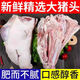 新鮮豬頭整只劈開豬臉肉生豬頭肉土豬頭帶骨豬臉 豬頭兩片4.6斤左 農(nóng)家散養(yǎng)土豬去耳豬頭劈開發(fā)貨
