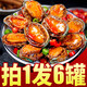 海鮮晟 鮑魚即食麻辣小海鮮熟食即食罐頭鮮活制作麻辣罐裝小鮑魚仔下飯 【發(fā)6罐】鮑魚3罐+生蠔3罐
