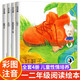 小企鵝心靈成長(zhǎng)故事全套4冊(cè) 一二年級(jí)繪本必讀老師閱讀課外書注音版紅鞋子袋鼠的袋袋里住了一窩鳥小灰兔找朋友小鼴鼠的土豆 【注音版】小企鵝心靈成長(zhǎng)故事 全套4冊(cè)