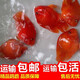 榮郁 紅鸚鵡魚(yú)#元寶鸚鵡#財神魚(yú)熱帶魚(yú) 紅鸚鵡魚(yú)7-8一條