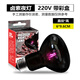 OEIN鹵素陸龜夜燈爬蟲(chóng)蜥蜴守宮月光燈爬箱溫控箱加熱燈保溫燈 鹵素夜燈 25w