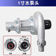 領(lǐng)躍割草機配件打草機水泵頭總成割草機潛水泵打草機抽水機簡易灌溉泵 1寸水泵頭（26-9 齒）