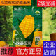 隆福沃原優(yōu)品沙漠黃糯鮮食玉米鮮香糯甜烏蘭布和沙漠香甜軟糯巴彥淖爾特產(chǎn) 優(yōu)品家庭裝1.850kg/包7-9穗裝