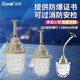 現(xiàn)帝（XIANDI) LED防爆燈隔爆型車間工廠房照明燈倉庫燈加油站防水火工礦燈罩 250型防爆燈+40wled光源