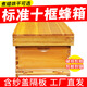 蜜蜂箱全套中蜂煮蠟標準土蜂杉木蜂箱浸蠟意蜂養蜂工具批發(fā) 煮蠟十框尺寸蜂箱(無(wú)巢框空箱) 【帶沙蓋+大隔板】