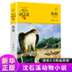 沈石溪動(dòng)物小說(shuō)全套全集品藏書(shū)系  狼王夢(mèng)斑羚飛渡最后一頭戰象等自選兒童文學(xué)課外閱讀書(shū)籍 鳥(niǎo)奴  升級版