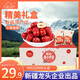 新邊界 一級灰棗1000g/箱每日棗餐(20)袋禮盒裝
