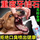 寵益樂(lè )狗狗牙結石去除口臭牙垢 軟化劑去除器 寵物口腔牙齒清潔噴霧神器 2贈1【安全可舔】三瓶裝