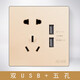 龍勝開(kāi)關(guān)插座門(mén)鈴 86型家用墻壁USB插座電源網(wǎng)線(xiàn)三插空調E65N金色 雙USB+五孔