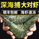 4斤海捕大蝦生鮮海鮮新鮮速凍特大冷凍基圍蝦鮮蝦海蝦對蝦白蝦 4斤裝(凈蝦2.8-3斤) 長(cháng)度11-13cm