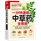 一分鐘速查中草藥全圖鑒實(shí)圖對(duì)照512種中藥材圖鑒,速查速用入門手冊(cè)