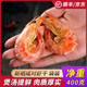 【順豐】烤蝦干蝦米對蝦干貨海鮮對蝦仁寧波特產(chǎn)舟山海鮮煲湯即食 咸-對蝦干400克