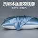雅鹿貢緞?wù)硖渍眍^套一對(duì)裝家用單個(gè)48cmx74cm冰絲枕芯三件套男通用2只 雙拼賓利藍(lán)+淺灰 48*74cm-枕套一對(duì)裝2只