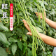 密水農(nóng)家密云農(nóng)業(yè) 自種豇豆 400g 新鮮時(shí)令蔬菜長豆角 鮮摘鮮發(fā) 豇豆 400g
