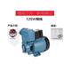 家用GP125W空調泵單相220v自吸泵離心水井抽水機全自動(dòng)小型增壓泵 銅線(xiàn)125