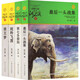 沈石溪?jiǎng)游镄≌f精選套裝 升級(jí)版(全4冊)  狼王夢  最后一頭戰(zhàn)象  第七條獵狗  斑羚飛渡  