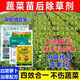 蔬菜苗后專用升級版四合一安全不傷苗白菜蘿卜通用除草劑 1套兌水30斤（可打一畝地） 1套裝