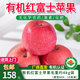 德力邦【廠(chǎng)商直發(fā)】陜西有機紅富士蘋(píng)果脆甜多汁新鮮有機生鮮水果 有機紅富士80#果16枚(毛重約4kg)
