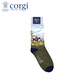 CORGI英國進(jìn)口男士襪子英倫風(fēng)油畫(huà)印花風(fēng)中筒襪吸汗送男友情人節禮物 Green 男款39-42