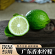 青惠悠廣東香水檸檬一級果新鮮四季無(wú)籽青檸厚皮奶茶店飲品汁專(zhuān)用水果 小青果2斤【單果20g+】